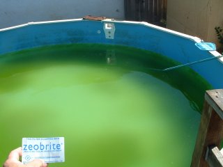 Click for Full Size image